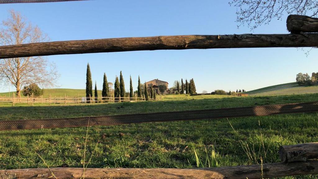 Bed And Breakfast Casale Del Sole Castellina Marittima Εξωτερικό φωτογραφία