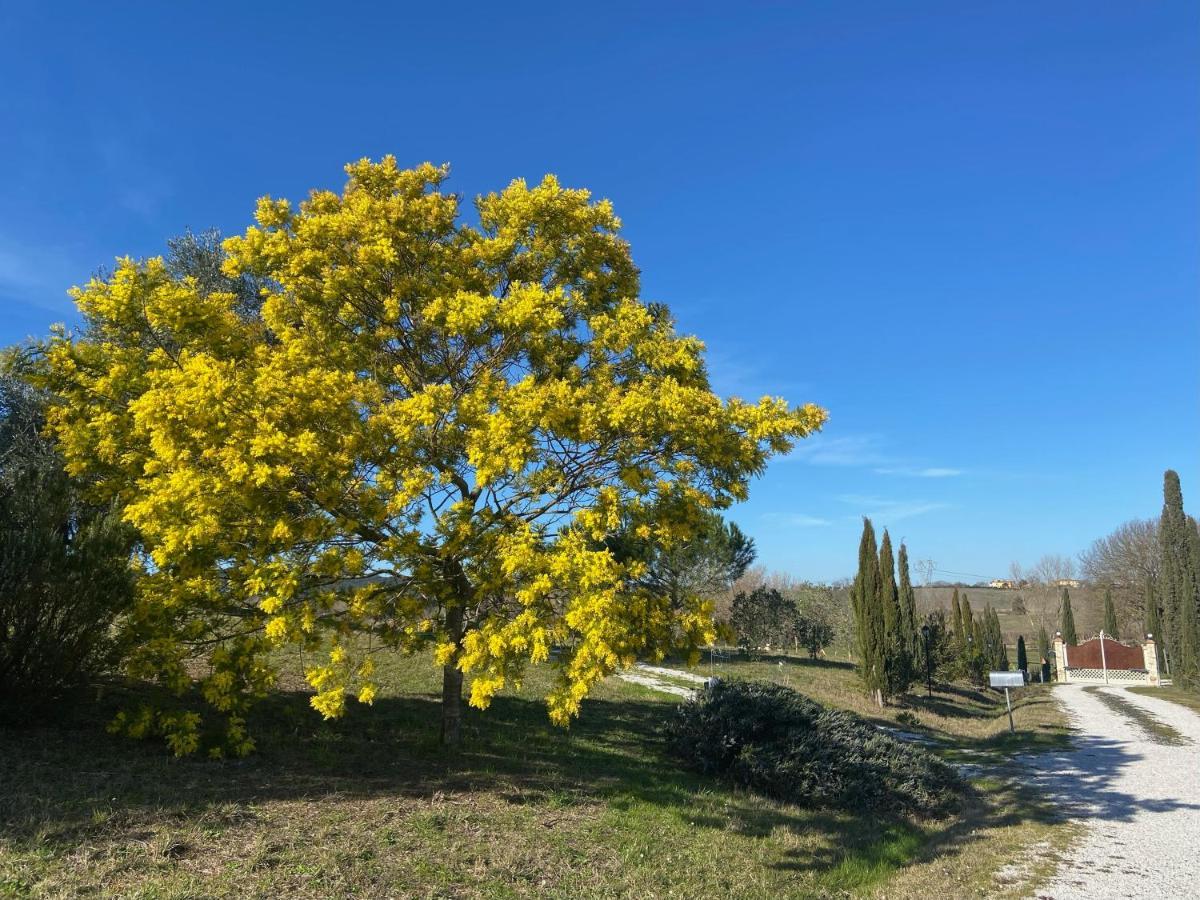 Bed And Breakfast Casale Del Sole Castellina Marittima Εξωτερικό φωτογραφία