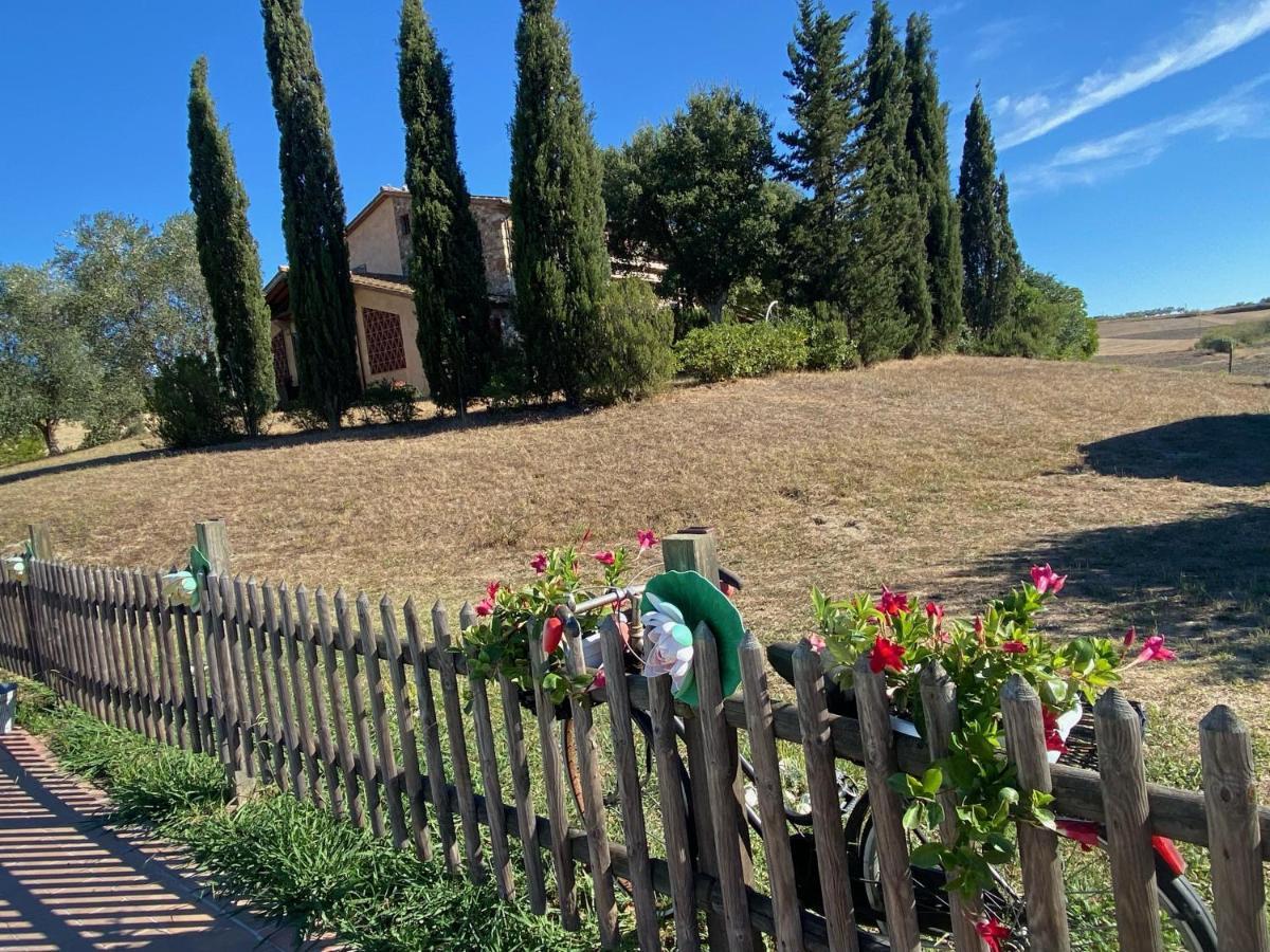 Bed And Breakfast Casale Del Sole Castellina Marittima Εξωτερικό φωτογραφία