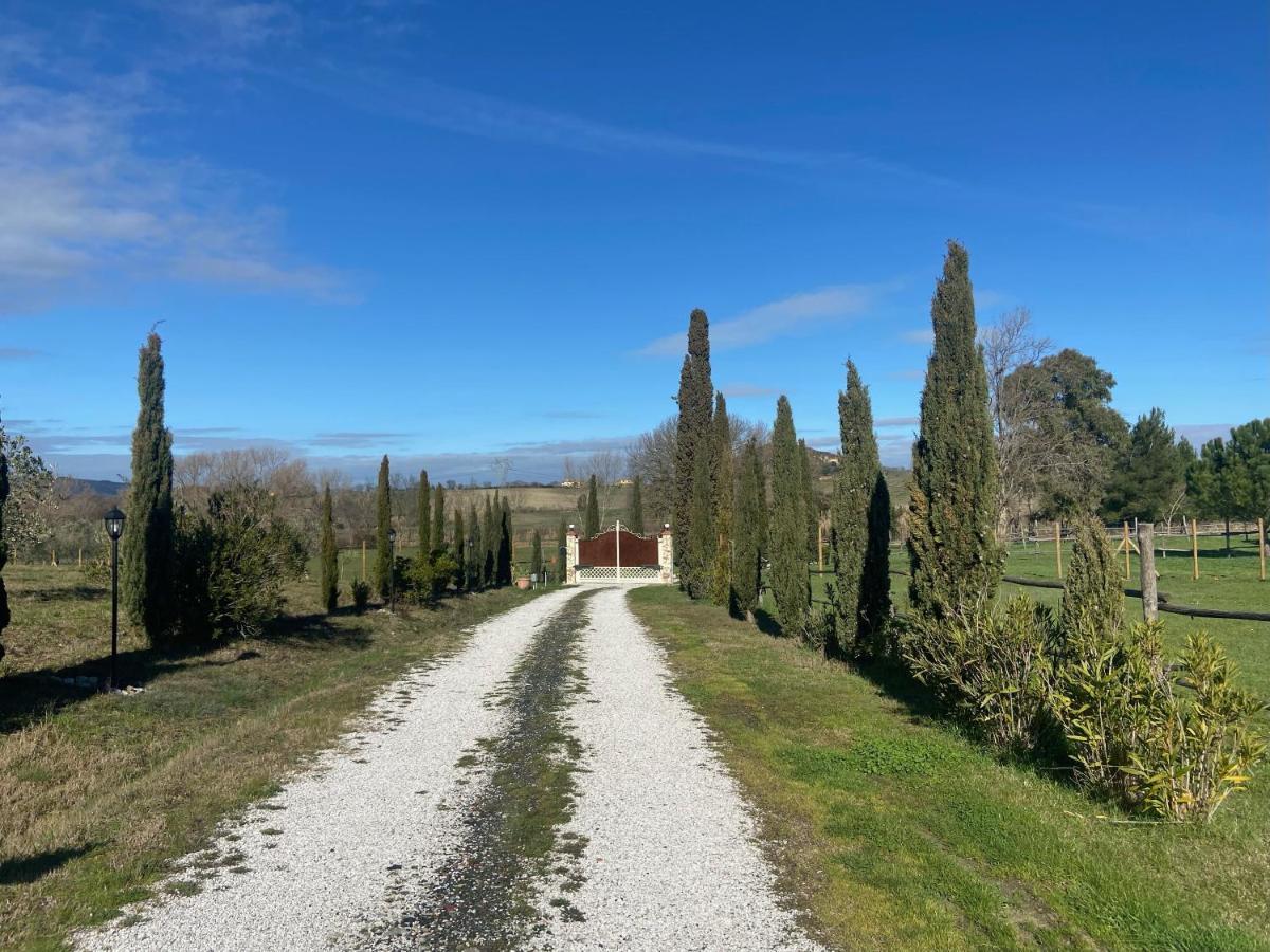 Bed And Breakfast Casale Del Sole Castellina Marittima Εξωτερικό φωτογραφία