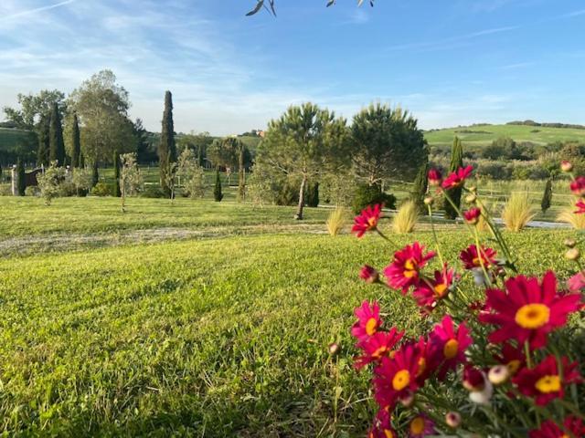 Bed And Breakfast Casale Del Sole Castellina Marittima Εξωτερικό φωτογραφία