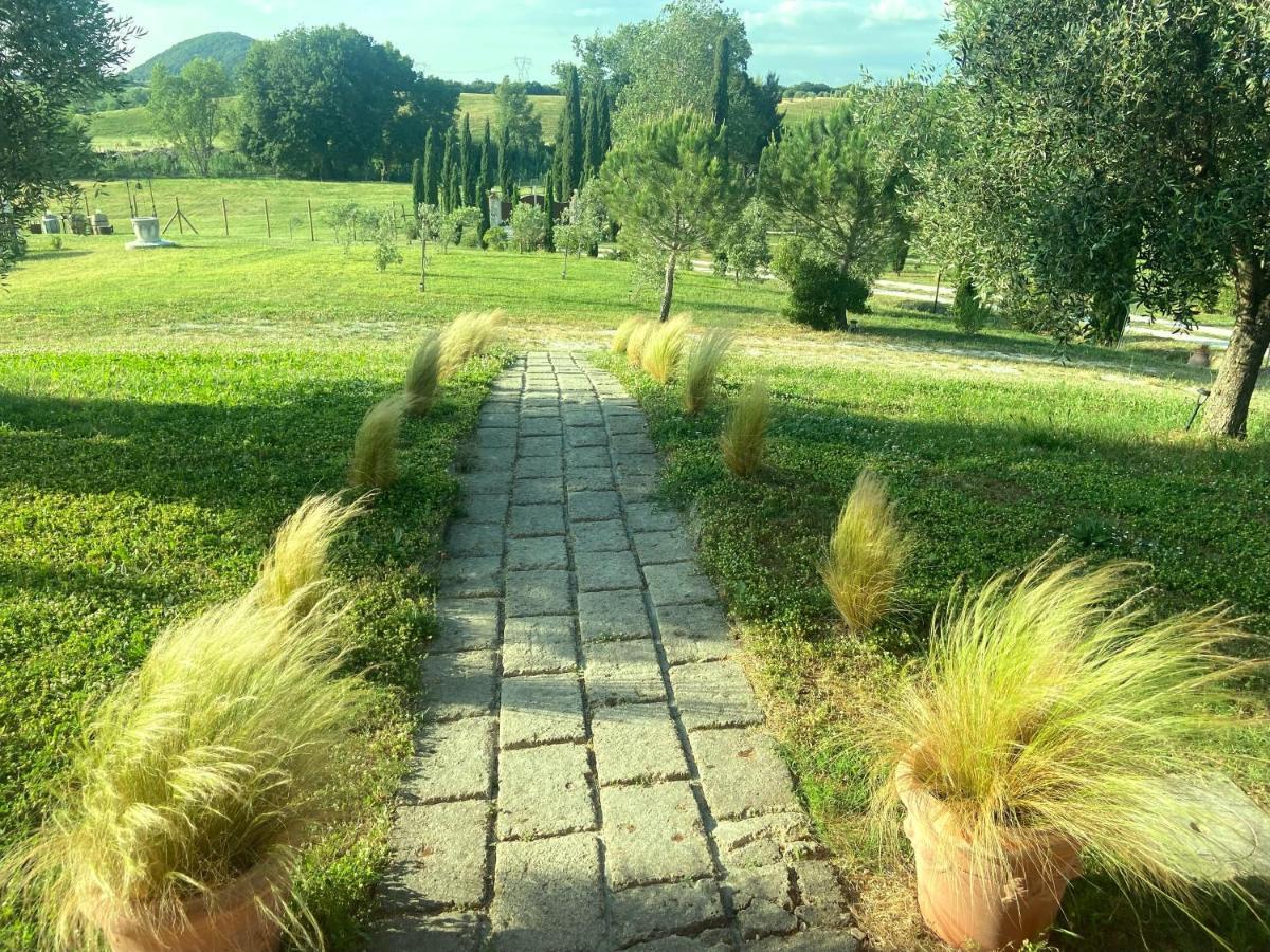 Bed And Breakfast Casale Del Sole Castellina Marittima Εξωτερικό φωτογραφία