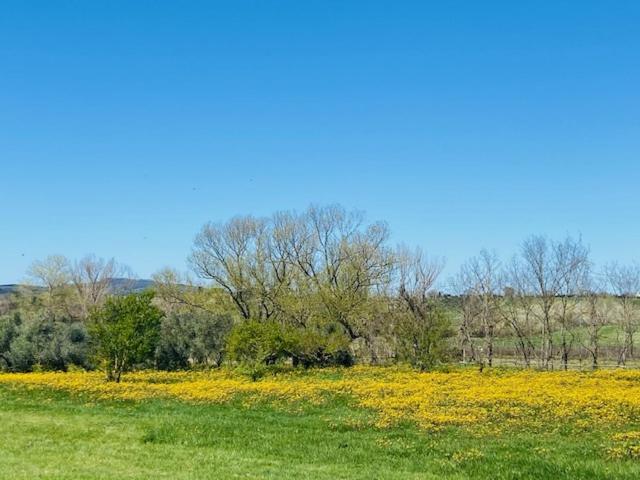 Bed And Breakfast Casale Del Sole Castellina Marittima Εξωτερικό φωτογραφία